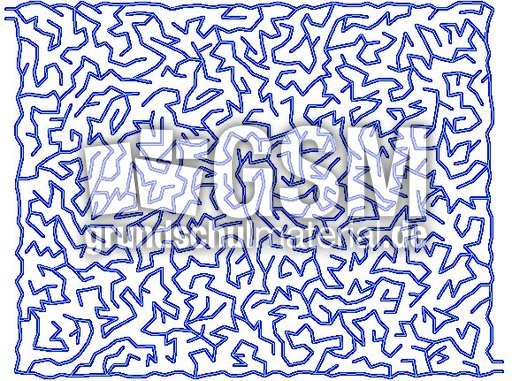 Zitterlinie 4 18.jpg